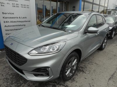 Ford Kuga 2,5 Duratec FHEV AWD ST-Line Aut. bei Fahrzeuge Ford Käfer in 