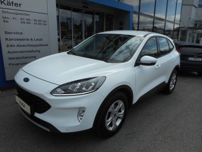 Ford Kuga 1,5 EcoBlue Cool & Connect*Navigation*Winterpaket* bei Fahrzeuge Ford Käfer in 